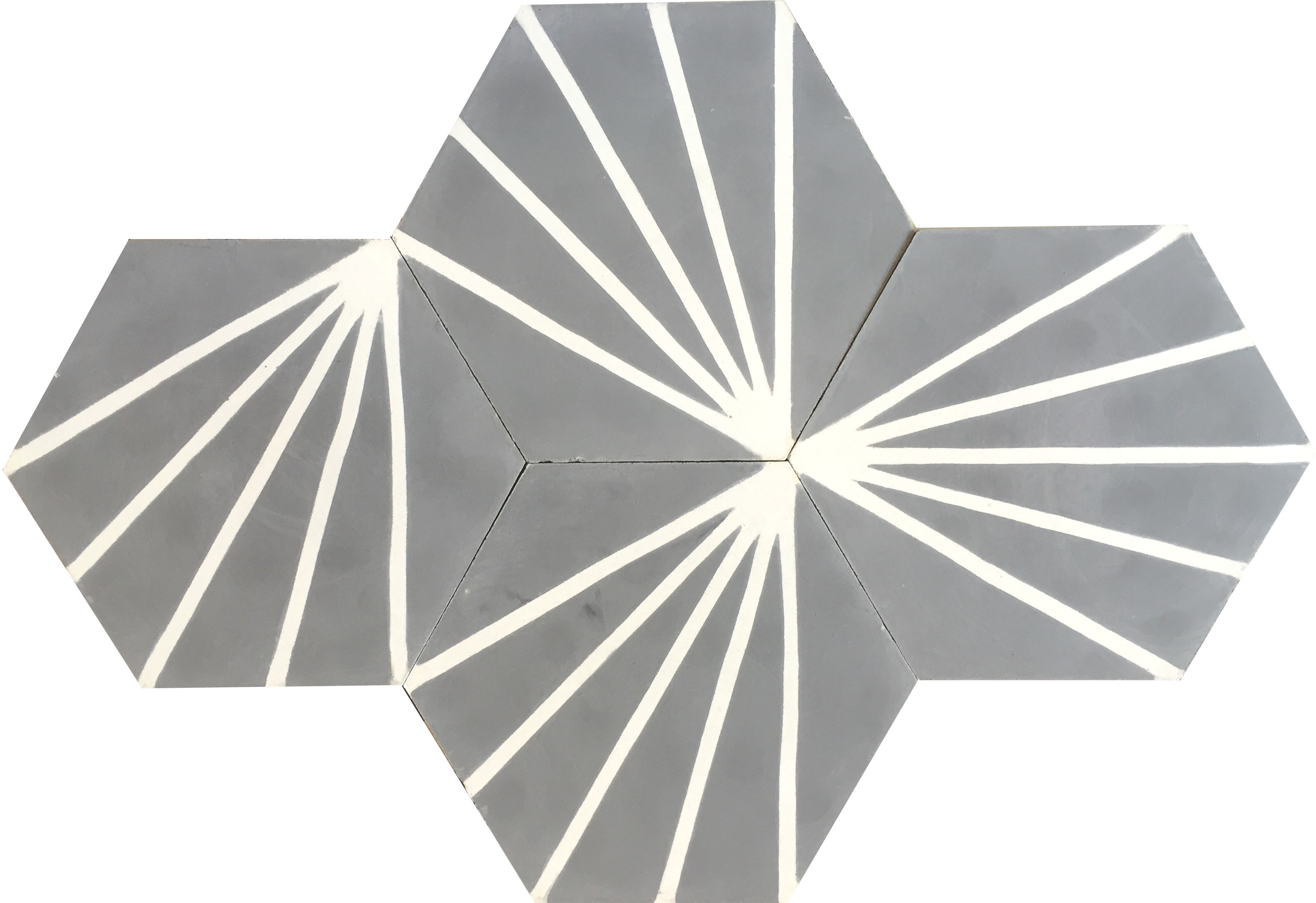 Hexagonal Graphic Encaustic Cement Tiles